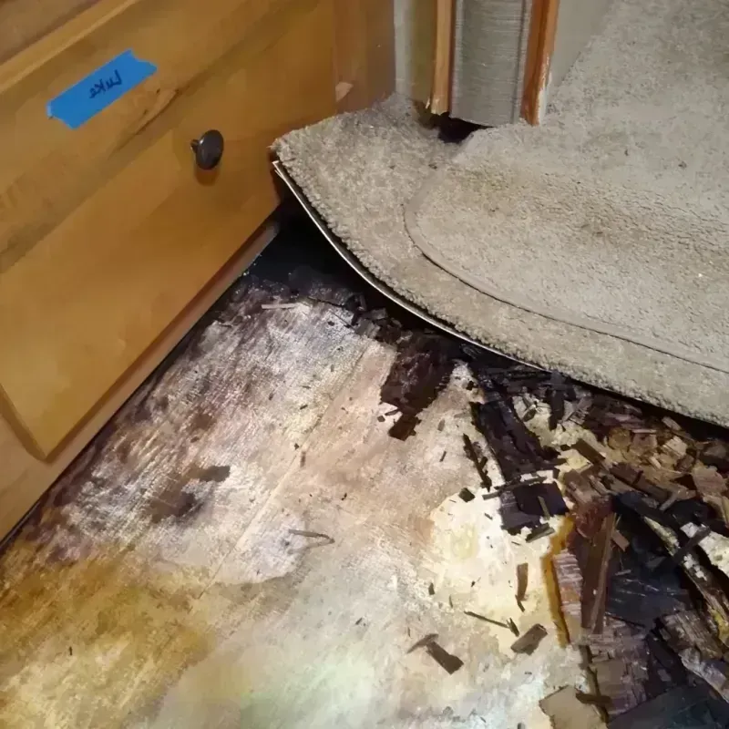 Wood Floor Water Damage in Beverly, NJ